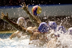 pallanuoto-29-169-foto-Giorgio-Scarfi-1