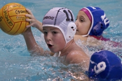 pallanuoto-3-169-foto-Giorgio-Scarfi-1