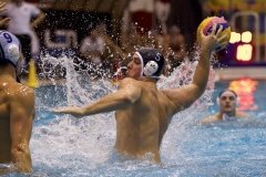 pallanuoto-40-169-foto-Giorgio-Scarfi-1